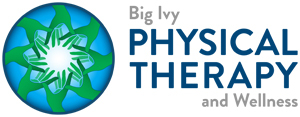 Big Ivy Physical Therapy and Wellness