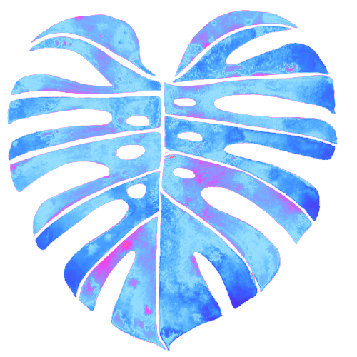 Cotati Chiropractic