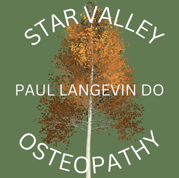 Star Valley Osteopathy