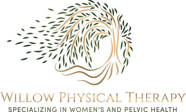 Willow Physical Therapy for Women’s Health and Pelvic Health