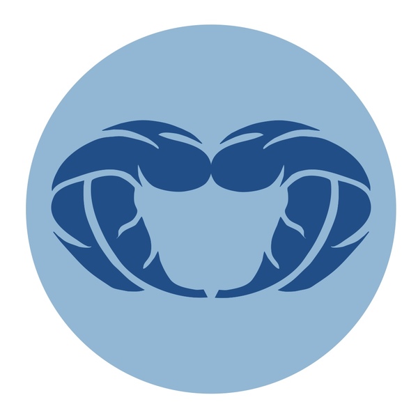 Core Moves Pelvic Floor PT and Pilates